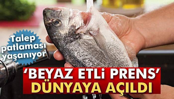 Beyaz etli prens dünya sofralarında