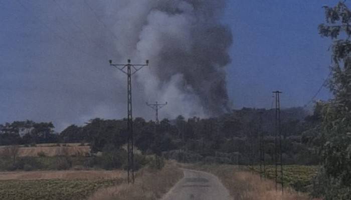 Edirne-Çanakkale sınırında orman yangını