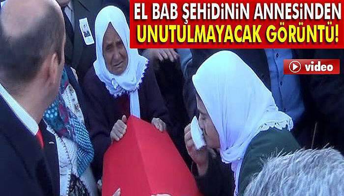 El Bab şehidinin annesinden unutulmayacak görüntü