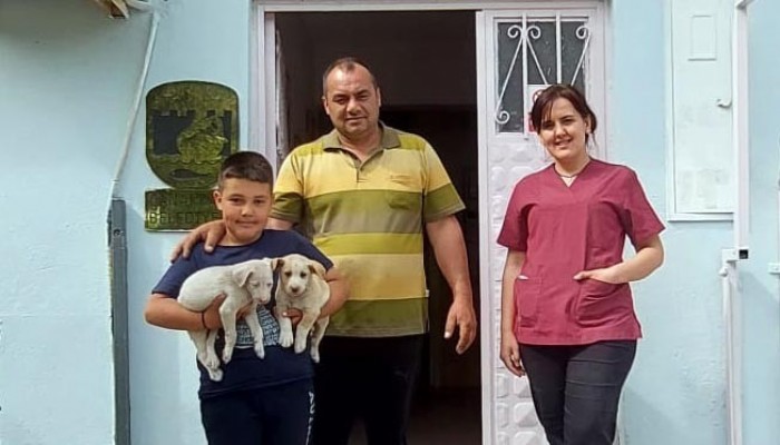 17 köpek ve 3 kedi yeni yuvasında