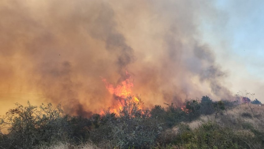  Gelibolu yangınında 8 hektar alan kül oldu   
