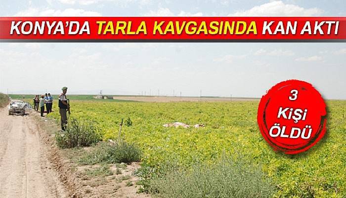 Baba ve iki oğlu tarla yüzünden öldürüldü