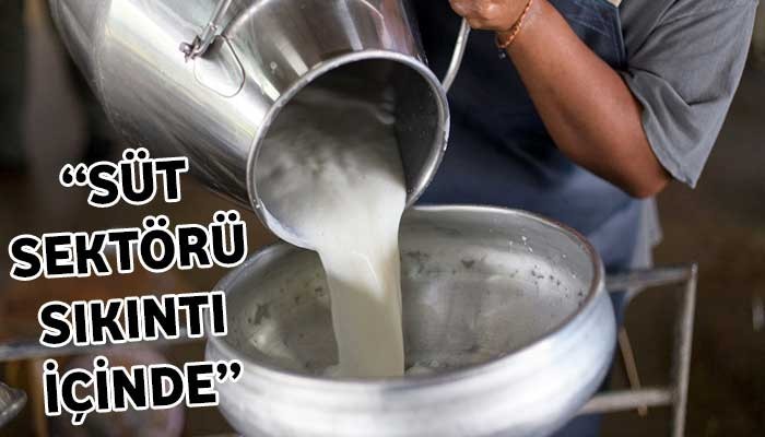 “Süt sektörü sıkıntı içinde”