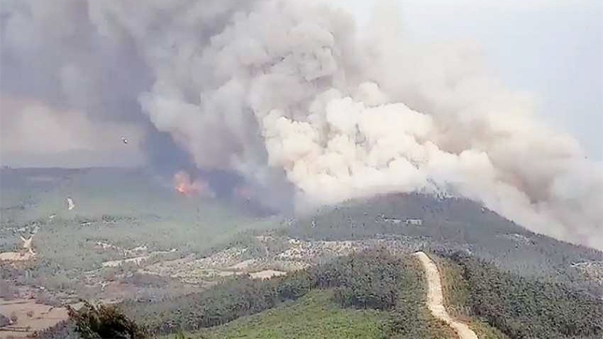 Gelibolu yarımadasındaki yangın 700 hektarlık alanda etkili oldu (videolu)