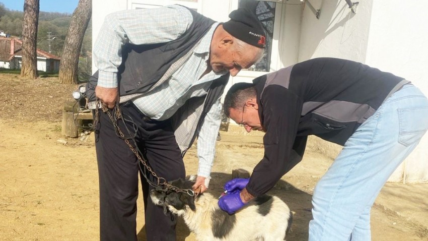Kuduz Aşılama Çalışmaları Kırsal Kesimde Hız Kesmeden Devam Ediyor