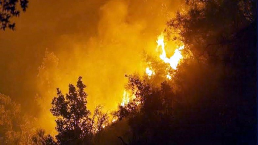 Çanakkale'de gece saatlerinde korkutan yangın (VİDEO)