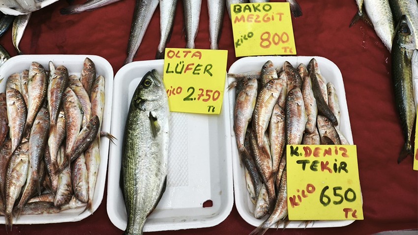 Denizlerin Prensi Lüfer Rekor Fiyata Ulaştı