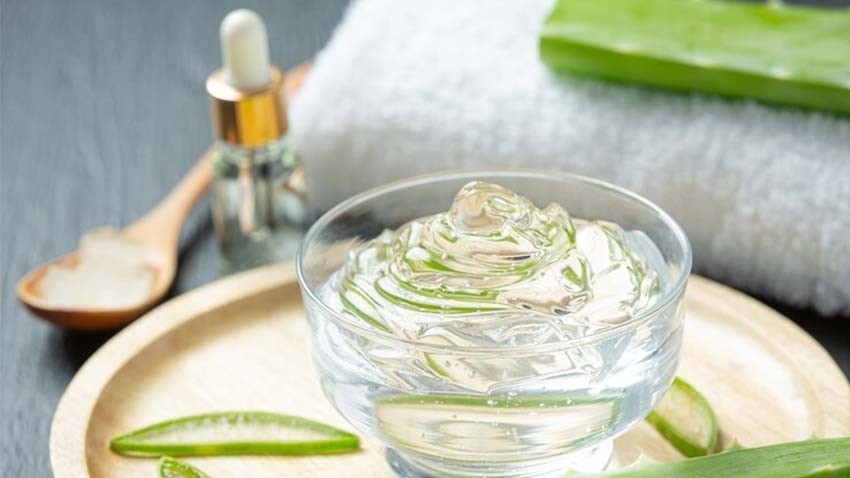 Aloe Vera Jel Faydaları Nelerdir?