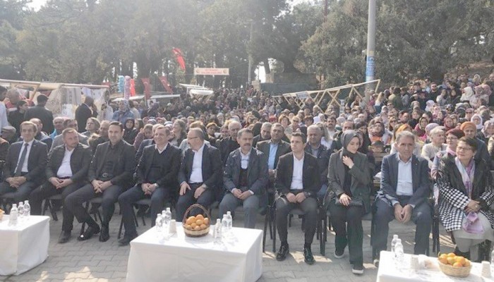 Vali Aktaş Zeytin Hasadı Şenliğinde