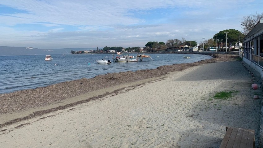 Çınarlı Köyü ve Dardanos’ta çalışmalar sürüyor