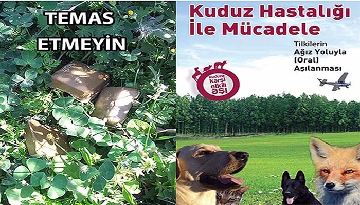 Çanakkale’de Kuduz Hastalığına Karşı Aşılama Başladı