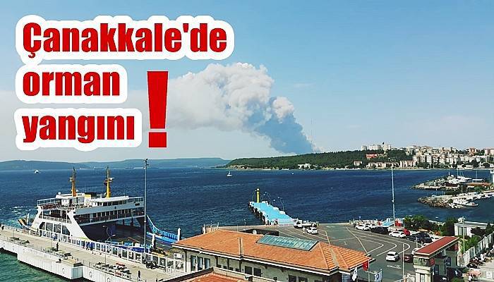 Çanakkale'de orman yangını