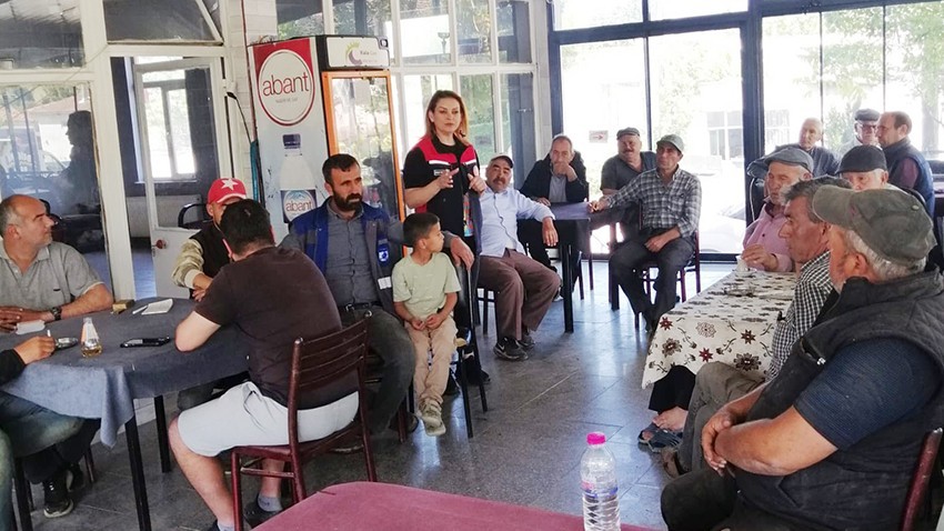 Pestisit Denetimleri ve Eğitimleri Sürüyor