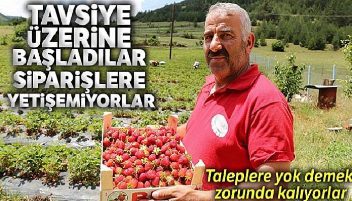 Tavsiye üzerine başladılar şimdi siparişlere yetişemiyorlar