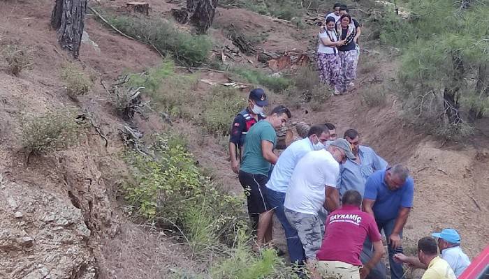 Orman işçisi, kestiği ağacın altında kalarak öldü