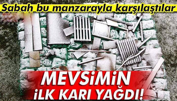 Erzurum kent merkezine mevsimin ilk karı yağdı