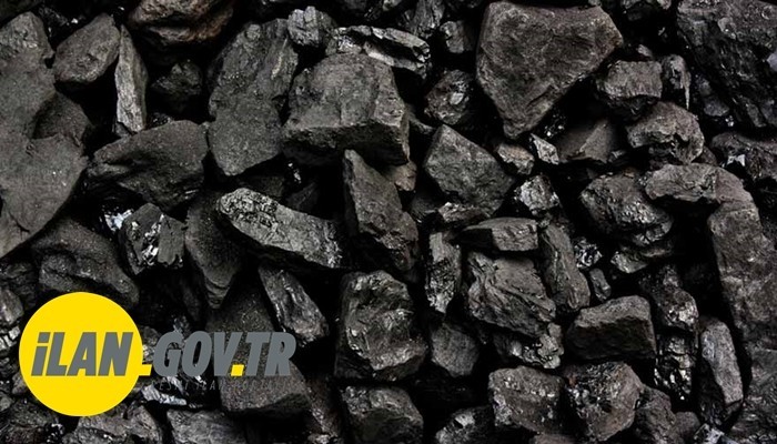 FINDIK KÖMÜR ALINACAK