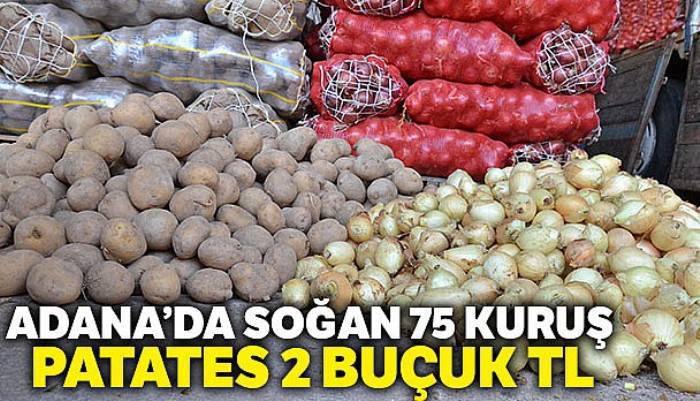 Cep yakan soğanın fiyatı 75 kuruşa kadar düştü