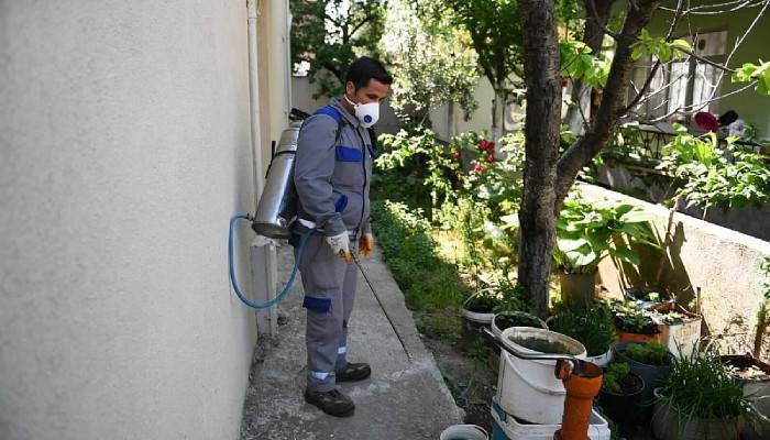 Sivrisinek İlaçlamaları Sürüyor