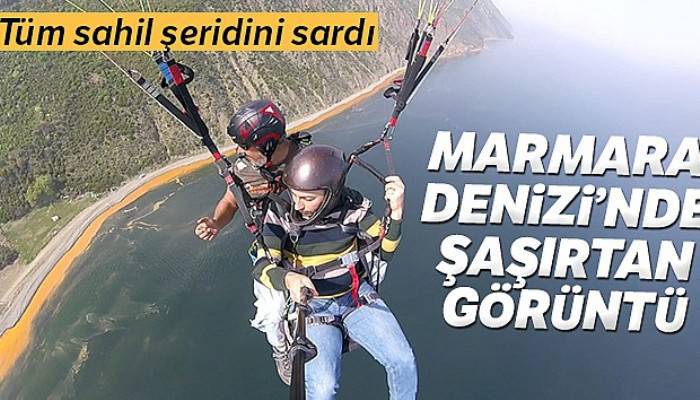 Marmara Denizi'nde şaşırtan görüntü