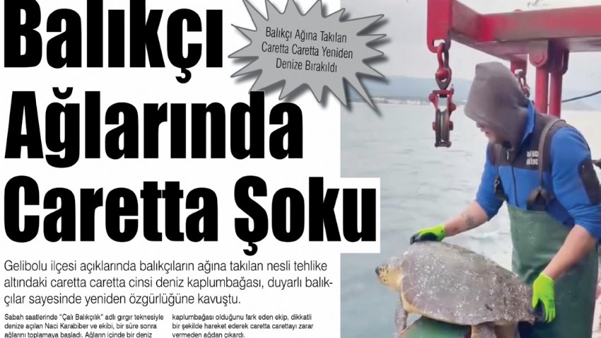 Balıkçı Ağlarında Caretta Şoku