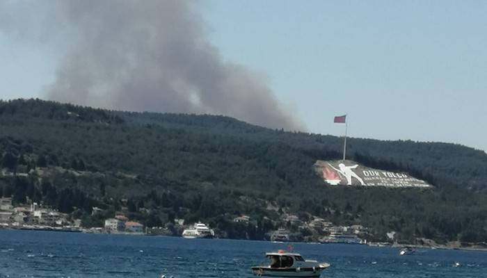 Çanakkale’de yangın!