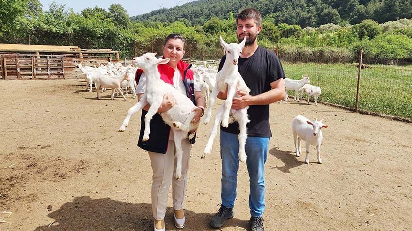 Kırsalda Üreticiler hibe ve desteklerle üretim kapasitelerini artırıyor