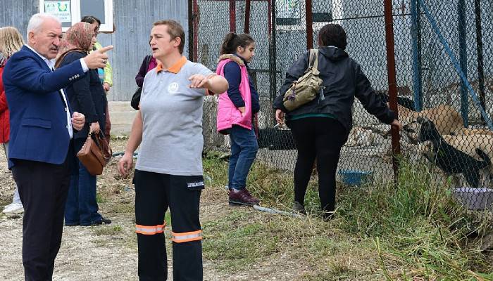 İhalesi yapılan Hayvan Bakımevi ve Barınağında çalışma başladı