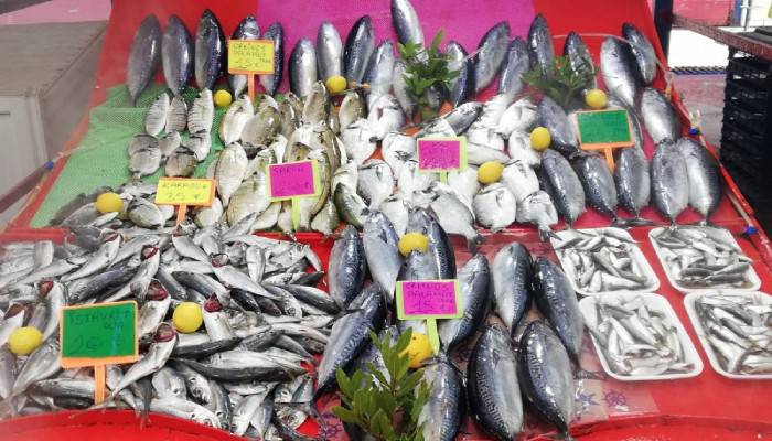 Balık fiyatları yasaklarla arttı