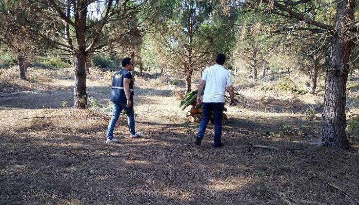 Karabiga ormanlarında ‘Genç Meşçere’ bakımı sürüyor