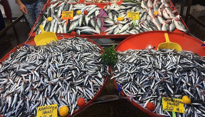 Hamsinin fiyatı sevindirdi