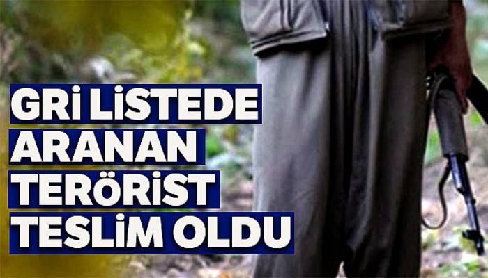 Gri listede aranan terörist teslim oldu