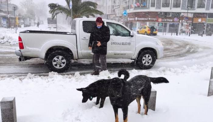 Çanakkale Belediyesi can dostları unutmadı