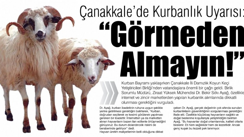 Çanakkale’de Kurbanlık Uyarısı:“Görmeden Almayın!” (videolu)