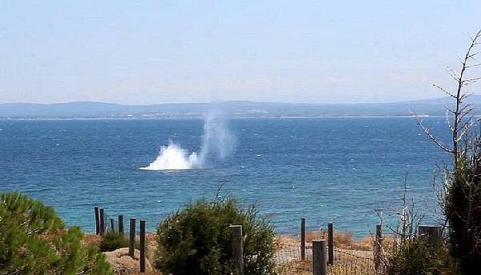 Çanakkale'de Birinci Dünya Savaşı'ndan kalma mayın imha edildi (VİDEO)