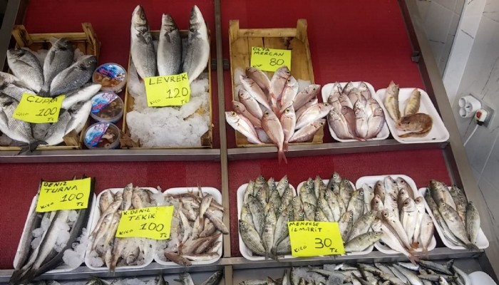 Balık fiyatları sabit gidiyor