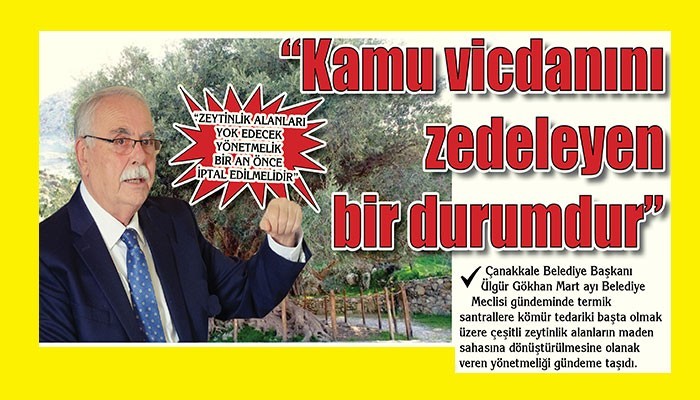 'ZEYTİNLİK ALANLARI YOK EDECEK YÖNETMELİK BİR AN ÖNCE İPTAL EDİLMELİDİR'