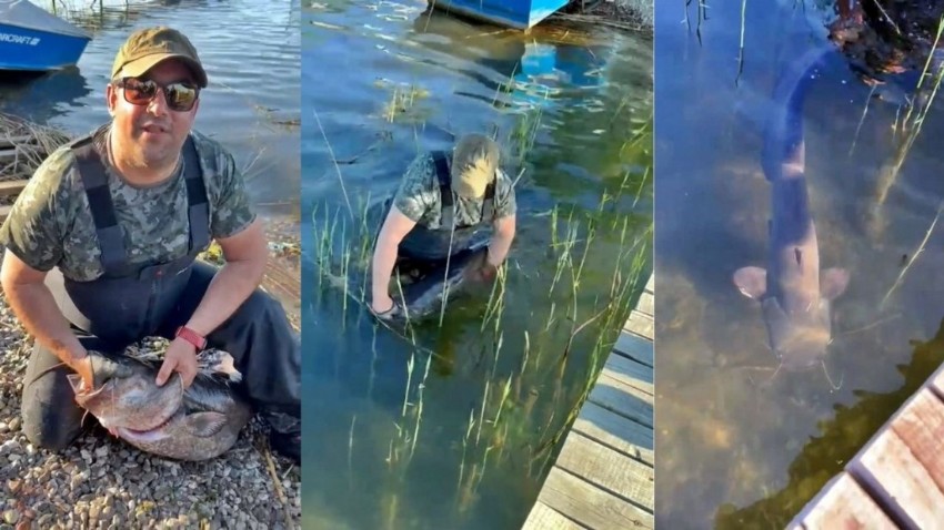 Gölde 24 kiloluk balık yakaladı, üremesi için suya geri bıraktı