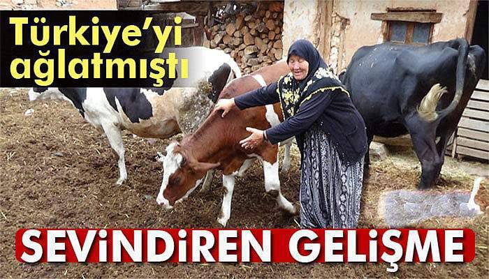 Türkiye'nin gündemine oturan o yaşlı çift bu defa sevinçten ağladı