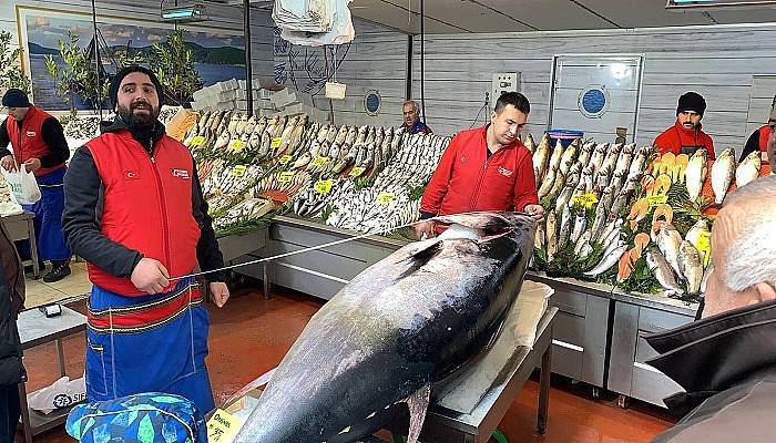 325 kiloluk orkinos görenleri şaşkına çevirdi (VİDEO)