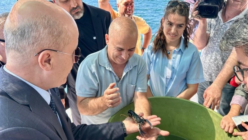 ÇOMÜ ıstakoz Yetiştirme Projesinde büyük başarı sağladı