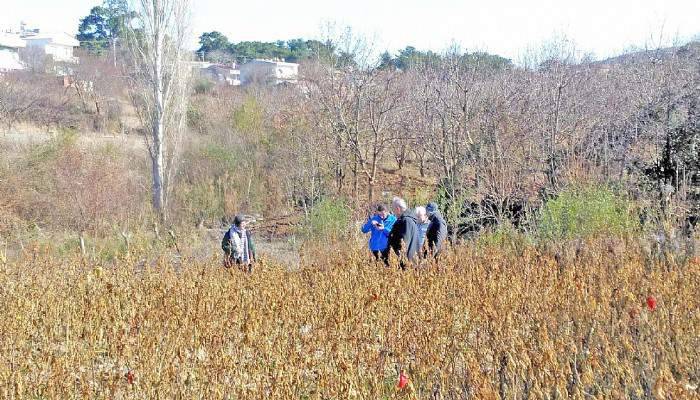 Çanakkale Meteorunda Yaşam İzi