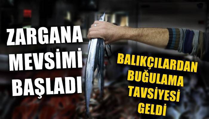 Zargana mevsimi başladı, balıkçılardan buğulama tavsiyesi geldi (VİDEO)