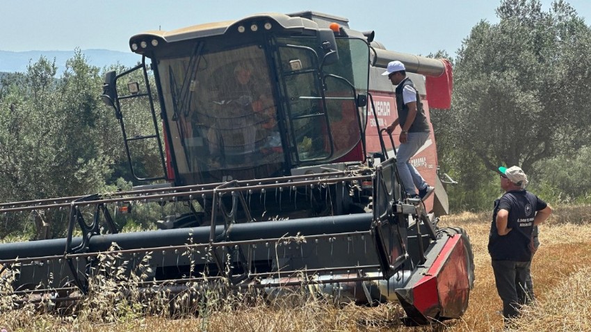 Çanakkale’de Biçerdöverlere Yönelik Denetimler Yoğunlaştı