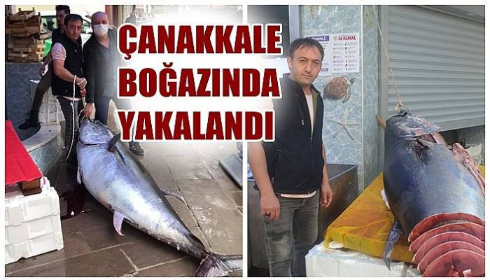 Çanakkale Boğazında yakalandı!