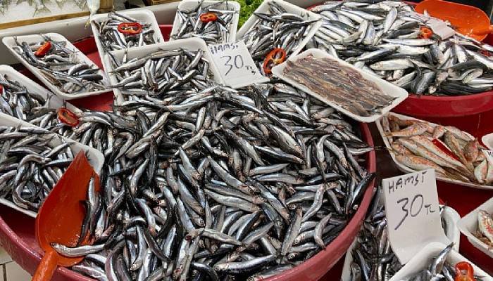 Balığa yoğun talep