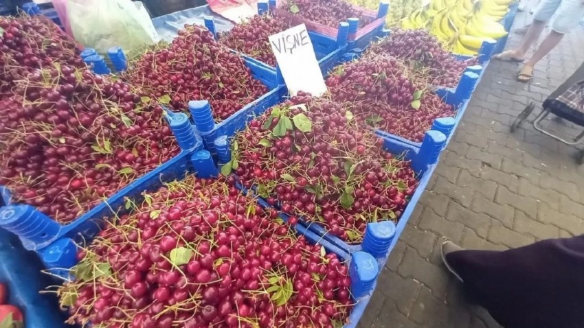 Cuma Pazarı’nda Vişne 300 Liradan Satıldı