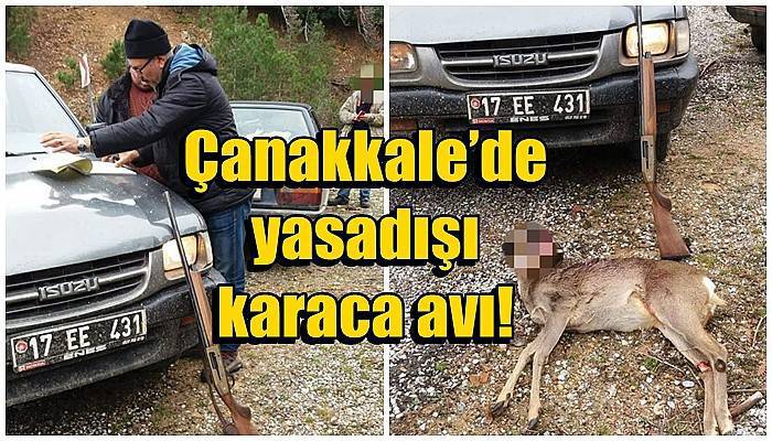 Çanakkale’de yasadışı karaca avı!