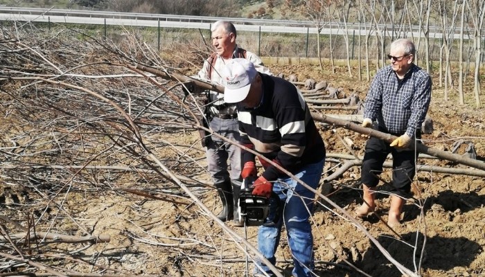 Bey-der Piknik alanına fidan dikti