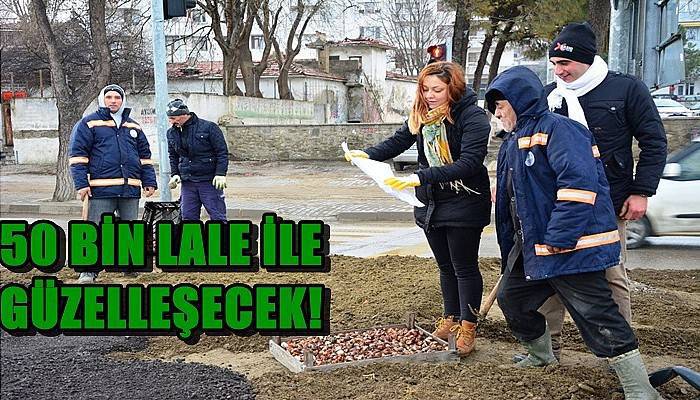 50 Bin Lale ile Güzelleşecek